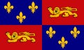 Top view of flag department of Landes, France. French travel and patriot concept. no flagpole. Plane design, layout. Flag