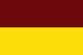 Top view of flag Tolima Colombia. Colombian patriot and travel concept. no flagpole. Plane design, layout. Flag background