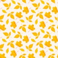 Top view flat lay autumnal leaves repeat seamless pattern on light background.