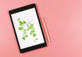 flat lay of digital tablet with picture of house plant in watercolor style on screen, pink stylus pen, isolated on pink