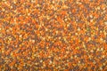 Background image lentils for bean soup