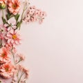 Elegance in Bloom: Overhead Floral Composition on a Light Backdrop Royalty Free Stock Photo