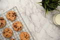 Top view, Flat lay, Freshly baked chocolate chip cookies on a wire cooling rack Royalty Free Stock Photo