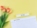 flat lay of habit tracker book with wooden calendar June, and tulips on yellow background