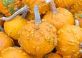 Close up on pile of small warty pumpkins at farmers market Royalty Free Stock Photo