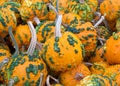 Close up on pile of warty pumpkins Royalty Free Stock Photo