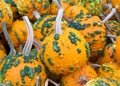 Close up on warty pumpkins Royalty Free Stock Photo