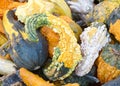 Close up on pile of colorful gourds in various shapes and colors Royalty Free Stock Photo