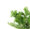 Top view flat lay natural Christmas tree branches corner frame on bright background. New year decor concept Royalty Free Stock Photo