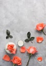 Top view flat lay Pink rose in white vase with petals, leaves and candle on bright grey background Royalty Free Stock Photo