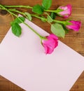 Top view,flat lay pink roses with copy apace