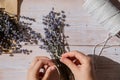 Top view flat lay of process making bouquets of dried lavender flowers. Cotton rope, scissors. Female do homemade herbs Royalty Free Stock Photo