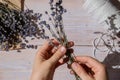 Top view flat lay of process making bouquets of dried lavender flowers. Cotton rope, scissors. Female do homemade herbs Royalty Free Stock Photo