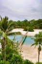 Suspension bridge in tropical climate with palm trees. Tropical landscape on Sentosa Island Royalty Free Stock Photo