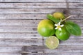 Top view of flower, cut and whole limes