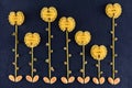 Top view flowers made out of various pasta on the dark slate background Royalty Free Stock Photo