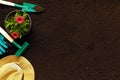 Top view of flowers plants in pots, gardening tools on soil background. copy space Royalty Free Stock Photo