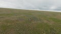 Top view of flying stork. Shot. Following flying bird in field on drone. Drone follows flying white stork over green Royalty Free Stock Photo