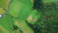 Top view foggy grassland summer day. Aerial woodland hills grass valley nature