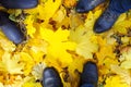 Top view of a foot in the autumn boots three people Royalty Free Stock Photo