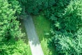 Footpath through the trees in summer park. aerial drone photo looking down