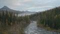 Top view of forest landscape with river and mountains with fog. Clip. Beautiful cloudy day over forest valley with river Royalty Free Stock Photo