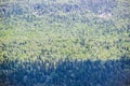 Top view of a forest seamlesss pattern. Royalty Free Stock Photo