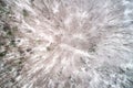 Top view of a forest in the Vosges Mountains. Alsace, France Royalty Free Stock Photo