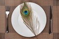 Fork and knife and a peacock feather on a dish concept of eating inhuman wildlife animal Royalty Free Stock Photo