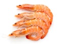 Top view of four orange cooked or boiled prawns in horizon isolated on white background and generated with AI Royalty Free Stock Photo