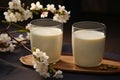 Two glasses of nut milk next to white flower, vegan diet, healthy eating concept.