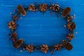 Top view on frame from Christmas lights and pine cones on the blue wooden background. Royalty Free Stock Photo