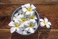 Top view of frangipani flowers floating on water in vintage silver bowl Royalty Free Stock Photo