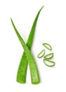 Top view of Fresh Aloe vera leaves and sliced