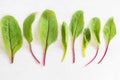 Top view of fresh beet leaves on the white background