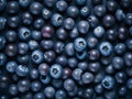 top view of fresh blueberries background