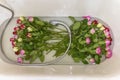 Top view of fresh bouquets of roses lying in the water of a home bath in bathroom. Taking care of flowers, indoor plants, growing