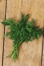 Top view fresh bunch dill wooden table Royalty Free Stock Photo