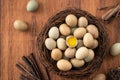 Fresh button quail eggs in a nest on wooden table background Royalty Free Stock Photo