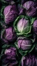 Top View Of Fresh Cabbages For Product Presentation - Generative AI