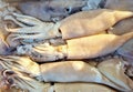 Top view of fresh Calamari tubes, frozen on ice, on a Greek seafood market