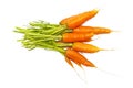 Fresh carrots isolated on white background Royalty Free Stock Photo