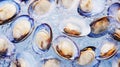 Top view on fresh clams in ice cubes. Sea food background. Generative AI