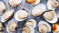 Top view on fresh clams in ice cubes. Sea food background. Generative AI