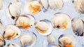 Top view on fresh clams in ice cubes. Sea food background. Generative AI