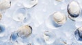 Top view on fresh clams in ice cubes. Sea food background. Generative AI