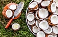 Top view fresh coconut and knife on grass