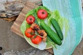 Top view of fresh cucumbers, tomatoes, Chinese cabbage, green onions and grilled chicken drumsticks lying on a plate