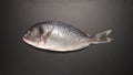TOP VIEW: Fresh Dorade fish on black table Royalty Free Stock Photo