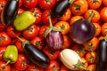 Top view of fresh eggplants of different varieties and green peppers on red and orange tomatoes. Food background Royalty Free Stock Photo